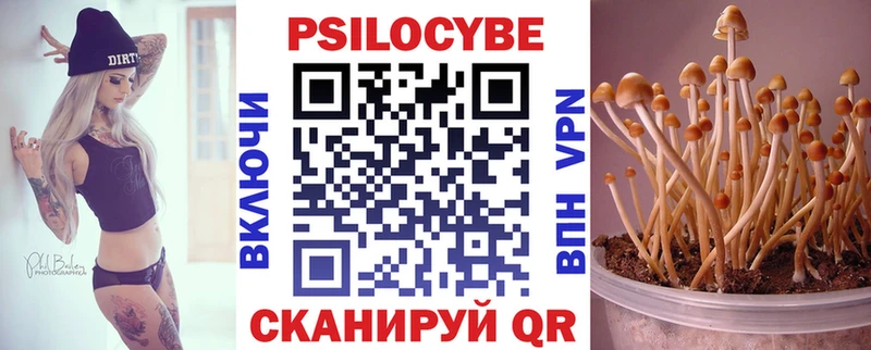 Псилоцибиновые грибы Magic Shrooms  Жуковский 